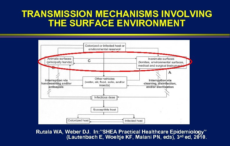 TRANSMISSION MECHANISMS INVOLVING THE SURFACE ENVIRONMENT Rutala WA, Weber DJ. In: ”SHEA Practical Healthcare