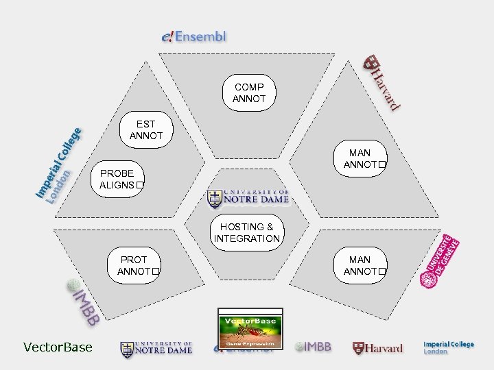 COMP ANNOT EST ANNOT MAN ANNOT PROBE ALIGNS HOSTING & INTEGRATION PROT ANNOT Vector.