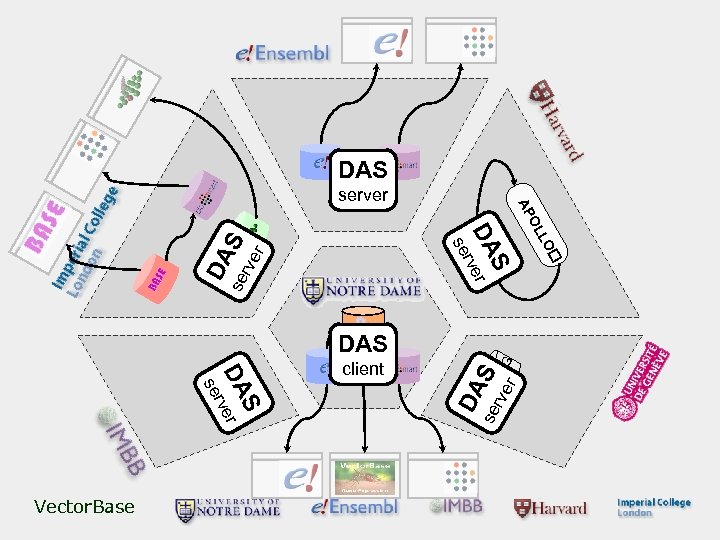 DAS DA se S rve r S C rve EGG r se DA S