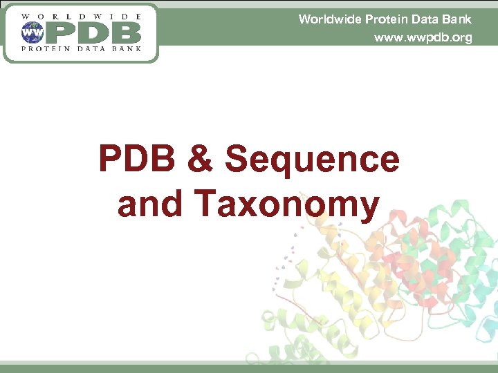 Worldwide Protein Data Bank www. wwpdb. org PDB & Sequence and Taxonomy 