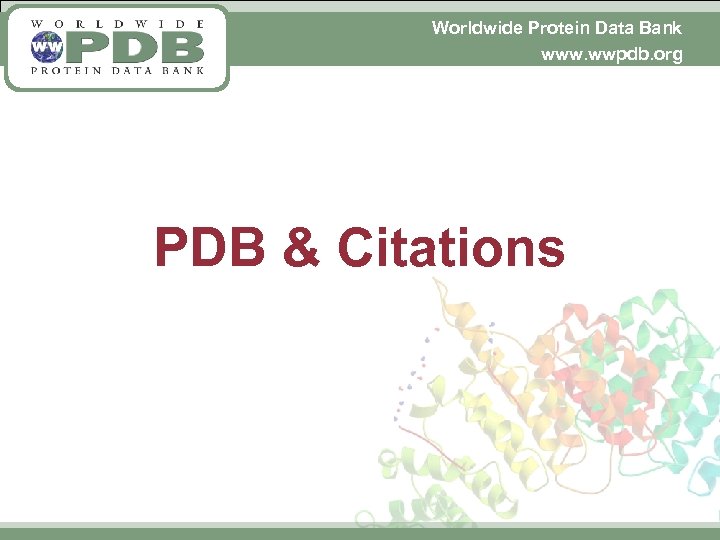 Worldwide Protein Data Bank www. wwpdb. org PDB & Citations 