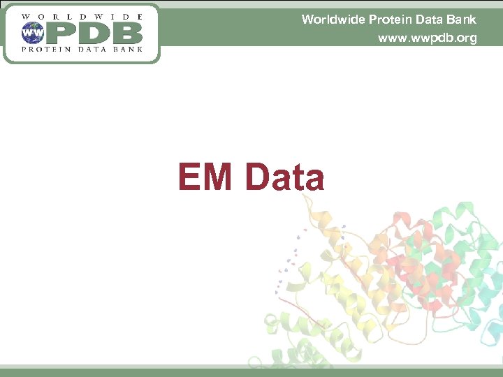 Worldwide Protein Data Bank www. wwpdb. org EM Data 