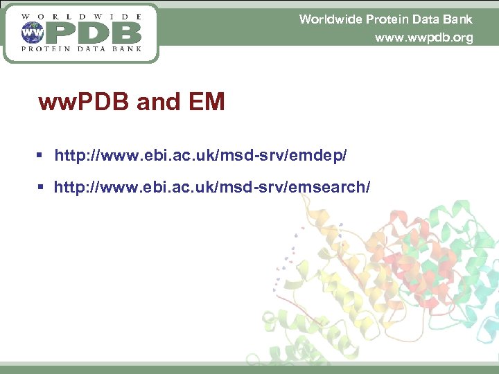 Worldwide Protein Data Bank www. wwpdb. org ww. PDB and EM § http: //www.