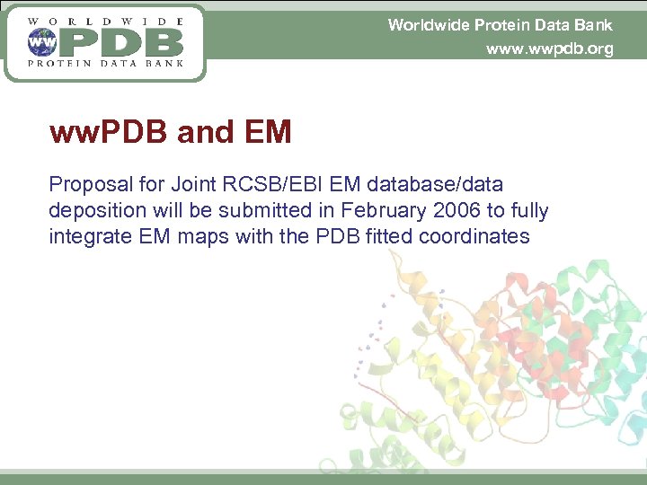 Worldwide Protein Data Bank www. wwpdb. org ww. PDB and EM Proposal for Joint