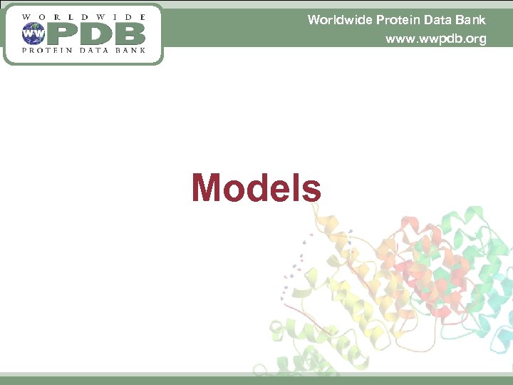 Worldwide Protein Data Bank www. wwpdb. org Models 