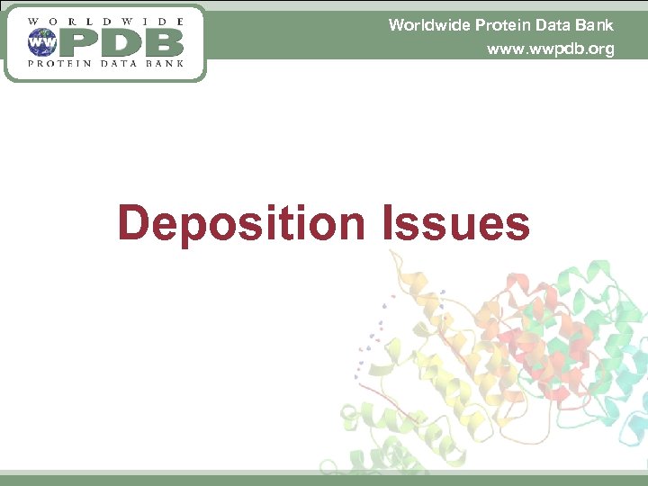 Worldwide Protein Data Bank www. wwpdb. org Deposition Issues 