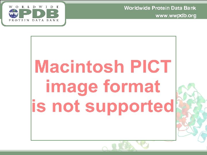 Worldwide Protein Data Bank www. wwpdb. org 