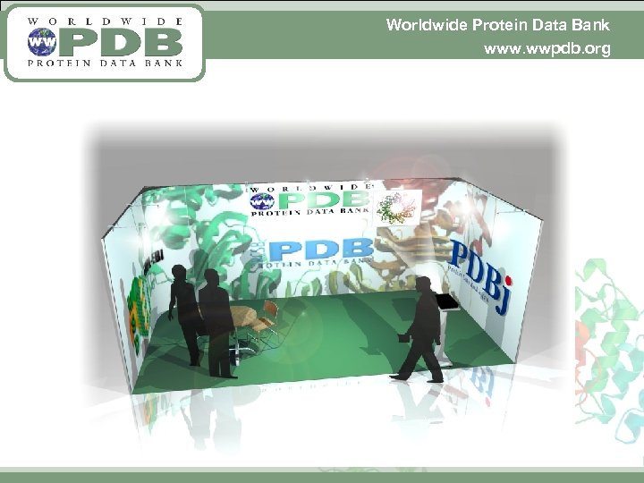 Worldwide Protein Data Bank www. wwpdb. org 