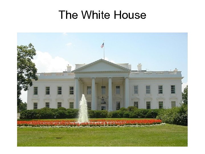 The White House 