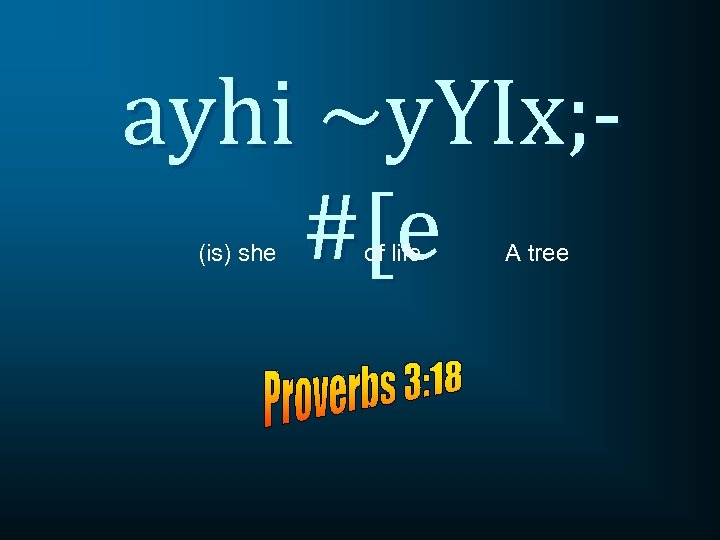 ayhi ~y. YIx; #[e (is) she of life A tree 