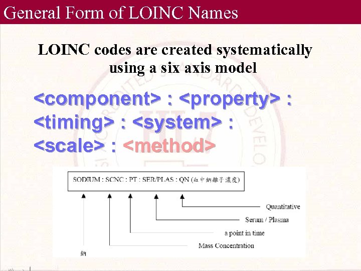 General Form of LOINC Names LOINC codes are created systematically using a six axis