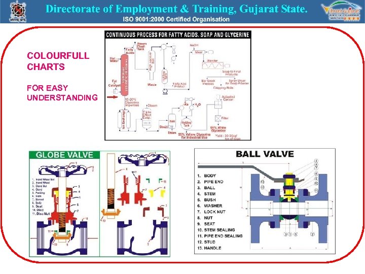 COLOURFULL CHARTS FOR EASY UNDERSTANDING 