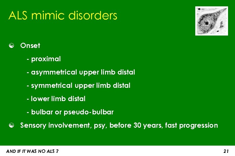 ALS mimic disorders ☯ Onset - proximal - asymmetrical upper limb distal - lower