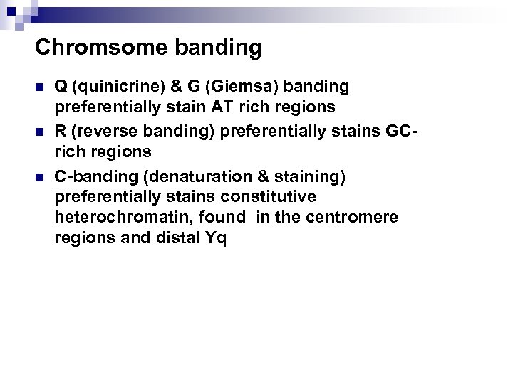 Chromsome banding n n n Q (quinicrine) & G (Giemsa) banding preferentially stain AT
