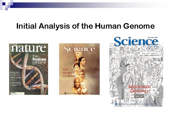 Initial Analysis of the Human Genome 