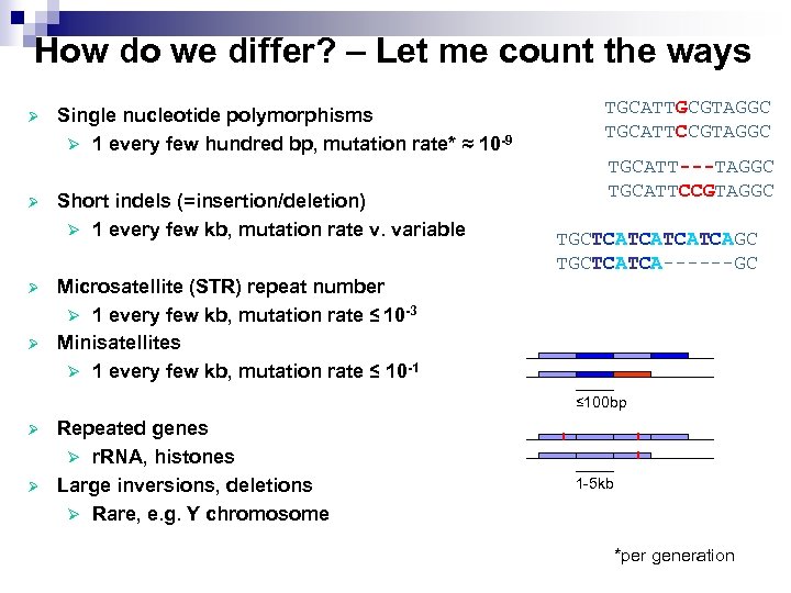 How do we differ? – Let me count the ways Ø Ø Single nucleotide