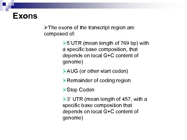 Exons ØThe exons of the transcript region are composed of: Ø 5’UTR (mean length