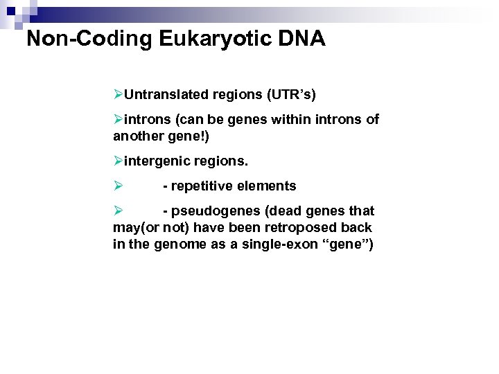 Non-Coding Eukaryotic DNA ØUntranslated regions (UTR’s) Øintrons (can be genes within introns of another