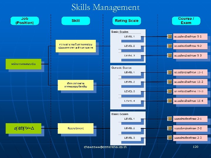 Skills Management chaweeww@cementhai. co. th 120 
