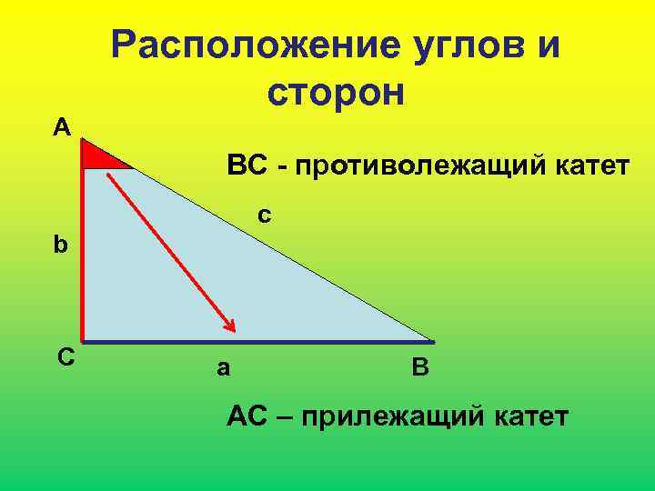 А Расположение углов и сторон ВС - противолежащий катет c b С a В