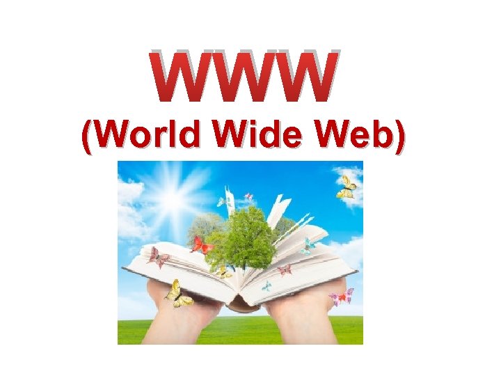 WWW (World Wide Web) 