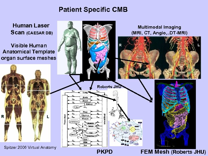 Patient Specific CMB Human Laser Scan (CAESAR DB) Multimodal Imaging (MRI, CT, Angio, .