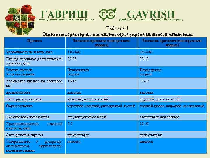 Таблица 1 Основные характеристики модели сорта укропа салатного назначения Признак Значение признака (одноразовая уборка)