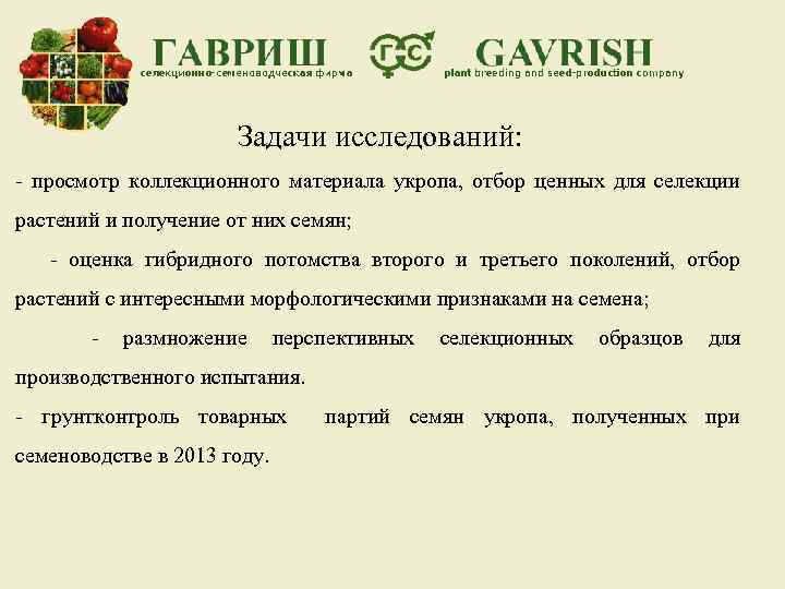 Задачи исследований: - просмотр коллекционного материала укропа, отбор ценных для селекции растений и получение
