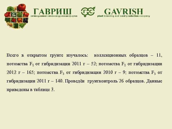 Всего в открытом грунте изучалось: коллекционных образцов – 11, потомства F 2 от гибридизации