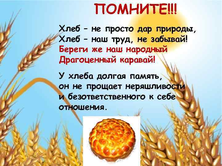 ПОМНИТЕ!!! Хлеб – не просто дар природы, Хлеб – наш труд, не забывай! Береги