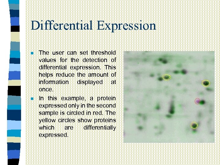Differential Expression n n The user can set threshold values for the detection of