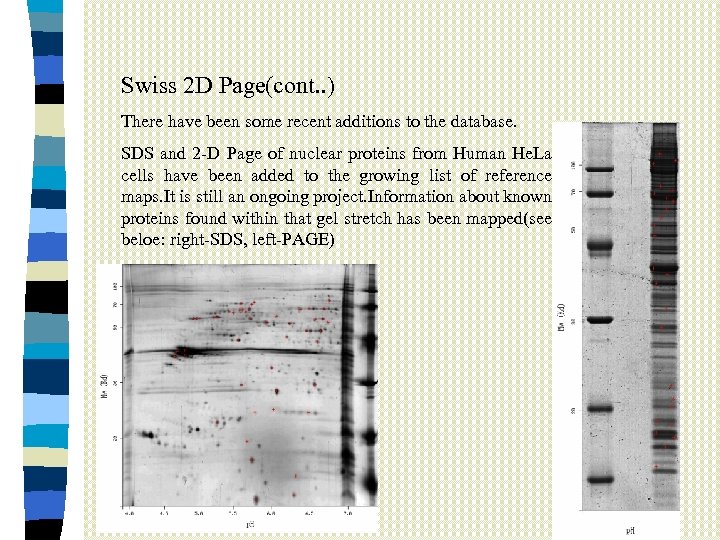 Swiss 2 D Page(cont. . ) There have been some recent additions to the