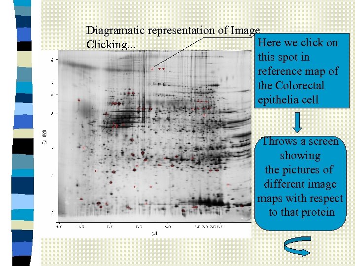 Diagramatic representation of Image Here we click on Clicking. . . this spot in