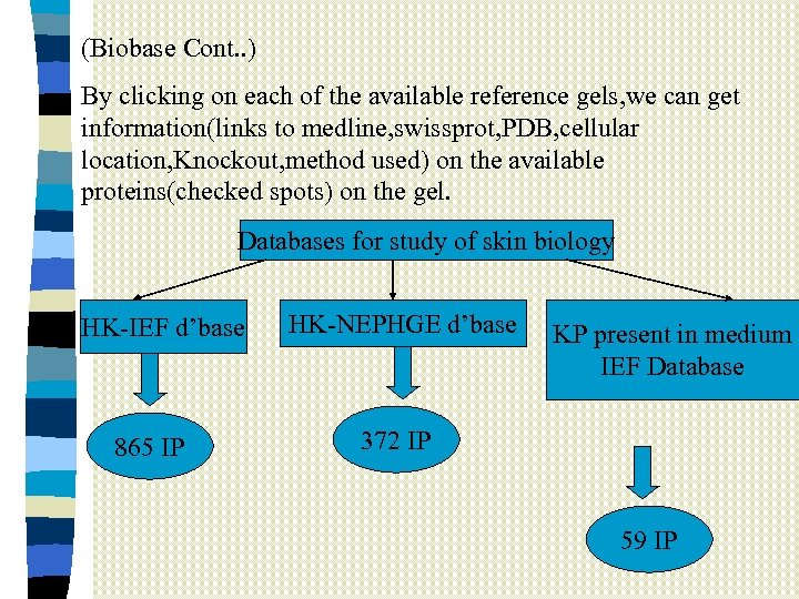 (Biobase Cont. . ) By clicking on each of the available reference gels, we