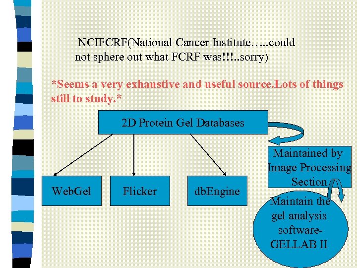 NCIFCRF(National Cancer Institute…. . could not sphere out what FCRF was!!!. . sorry) *Seems
