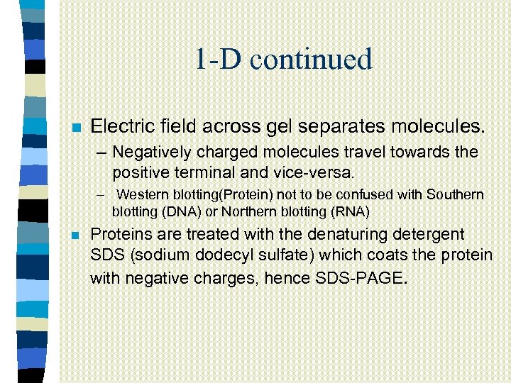 1 -D continued n Electric field across gel separates molecules. – Negatively charged molecules