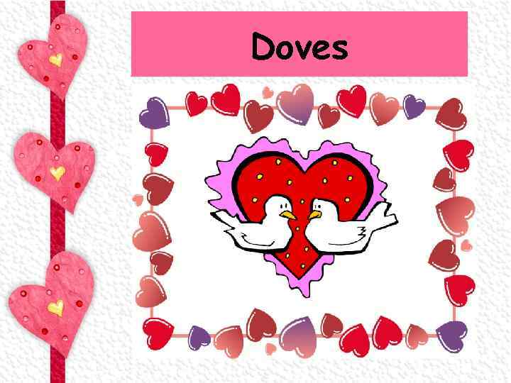 Doves 