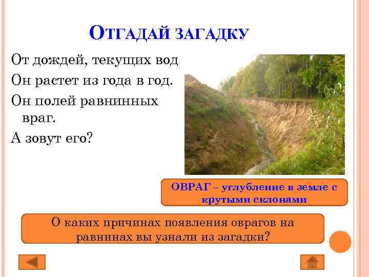 ОТГАДАЙ ЗАГАДКУ От дождей, текущих вод Он растет из года в год. Он полей