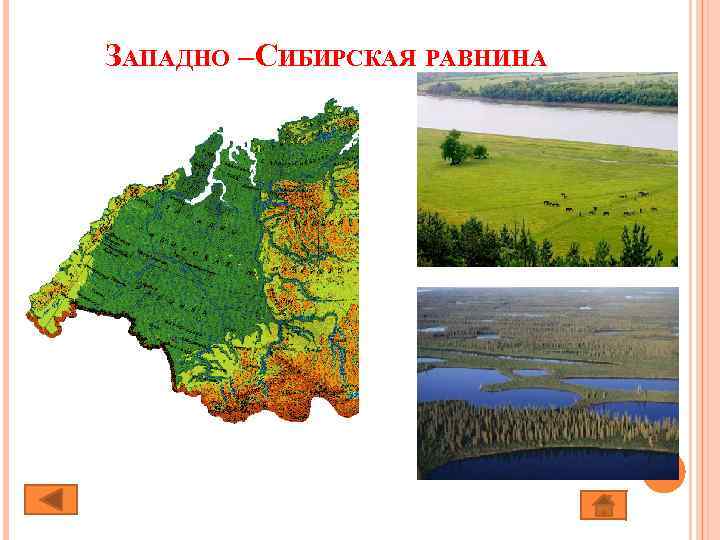 ЗАПАДНО – ИБИРСКАЯ РАВНИНА С 