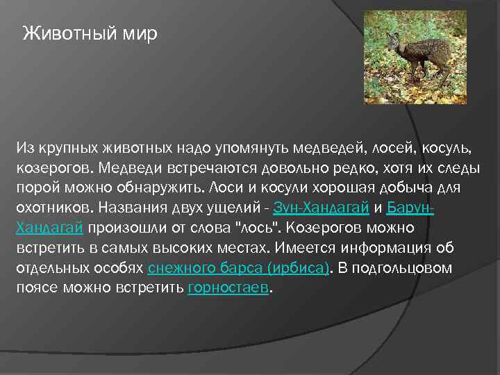 Животный мир Из крупных животных надо упомянуть медведей, лосей, косуль, козерогов. Медведи встречаются довольно