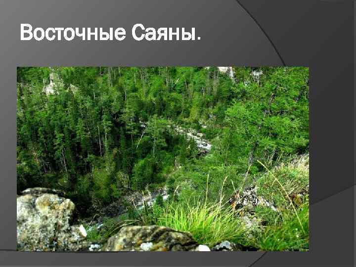 Восточные Саяны. 