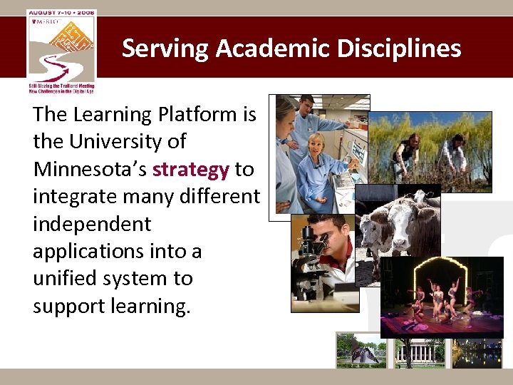 Serving Academic Disciplines The Learning Platform is the University of Minnesota’s strategy to integrate