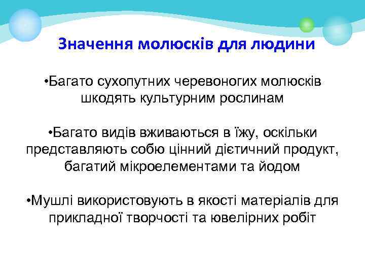 Значення молюсків для людини • Багато сухопутних черевоногих молюсків шкодять культурним рослинам • Багато