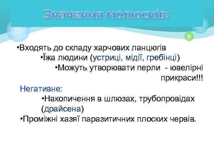  • Входять до складу харчових ланцюгів • Їжа людини (устриці, мідії, гребінці) •