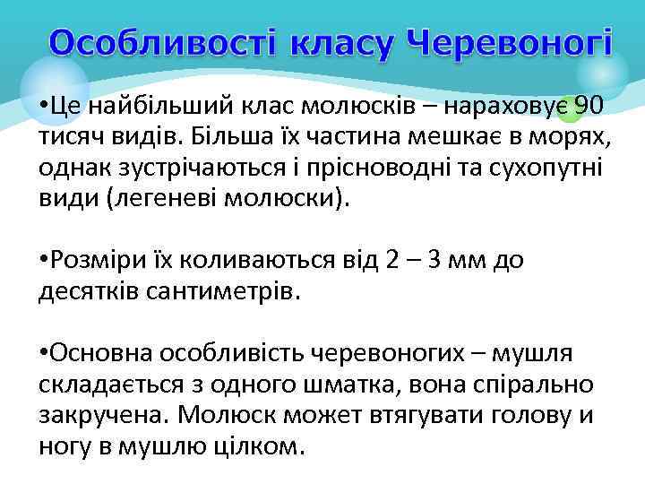  • Це найбільший клас молюсків – нараховує 90 тисяч видів. Більша їх частина
