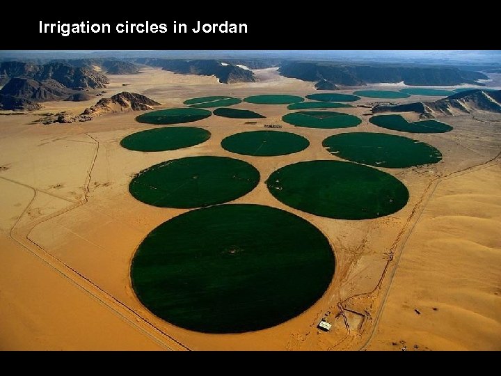 Irrigation circles in Jordan 