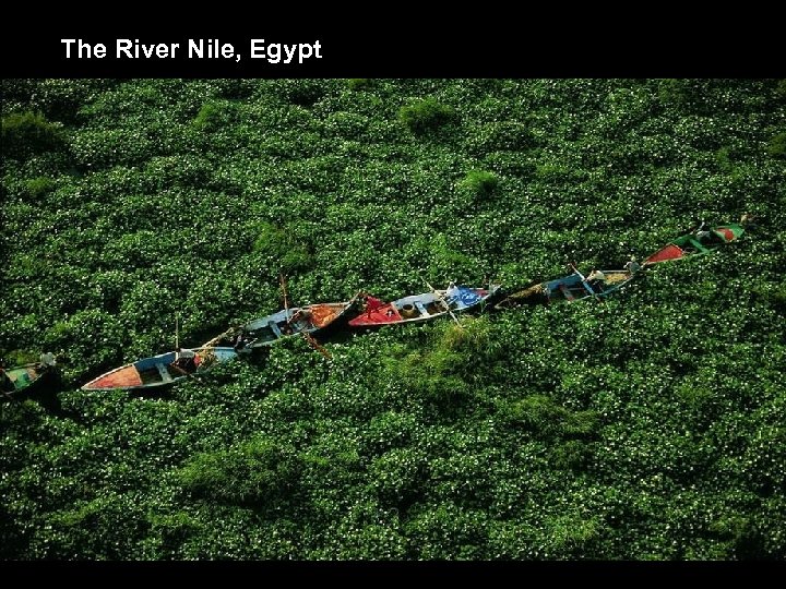 The River Nile, Egypt 