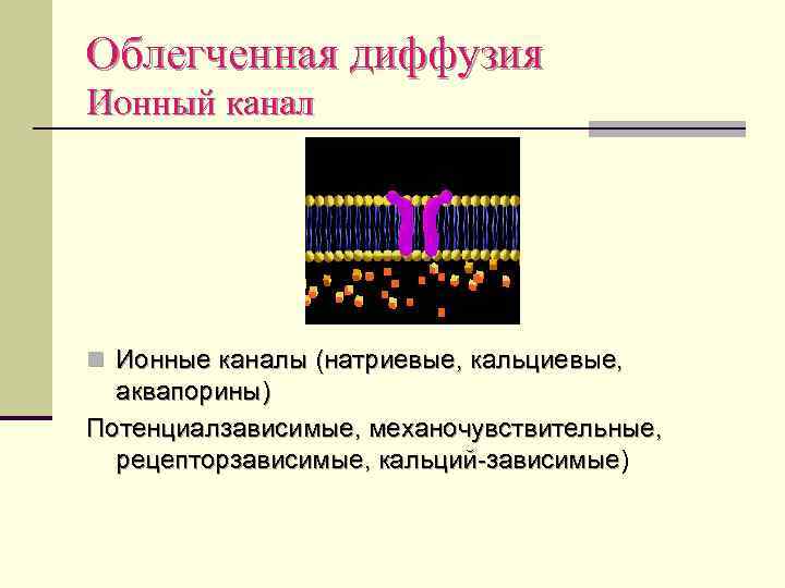 Облегченная диффузия Ионный канал n Ионные каналы (натриевые, кальциевые, аквапорины) Потенциалзависимые, механочувствительные, рецепторзависимые, кальций-зависимые)