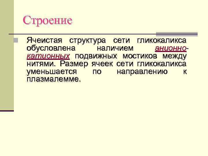 Строение n Ячеистая структура сети гликокаликса обусловлена наличием анионнокатионных подвижных мостиков между нитями. Размер