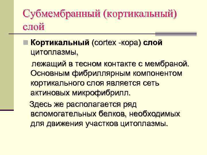 Субмембранный (кортикальный) слой n Кортикальный (cortex -кора) слой цитоплазмы, лежащий в тесном контакте с